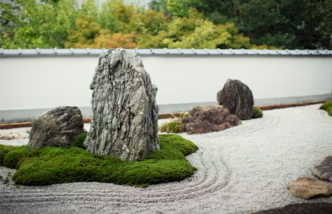 大福寺 客殿北庭