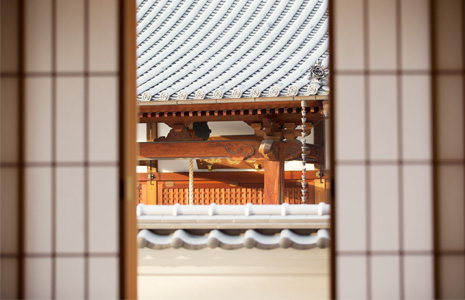 大福寺 書院より本堂を望む